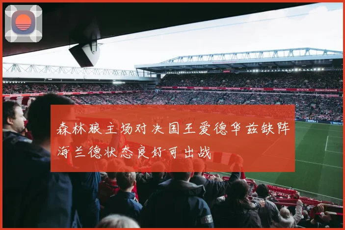 森林狼主场对决国王爱德华兹缺阵海兰德状态良好可出战